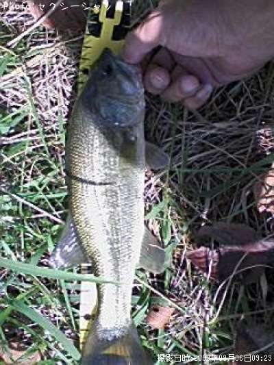 �֥�å��Х�