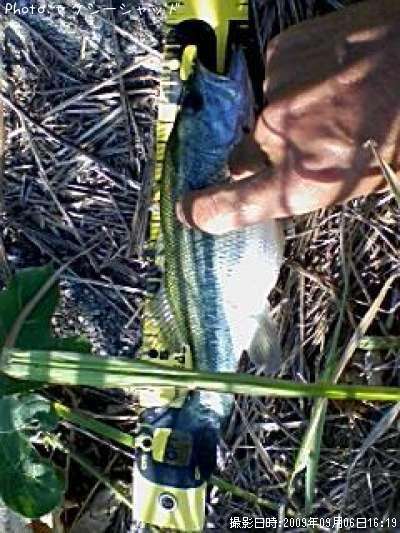 �֥�å��Х�