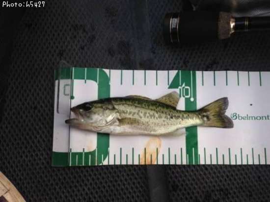 �֥�å��Х�