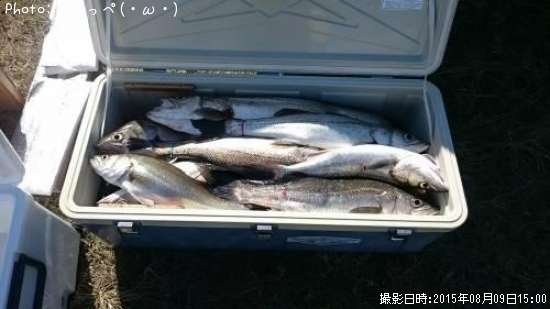 �����Х�