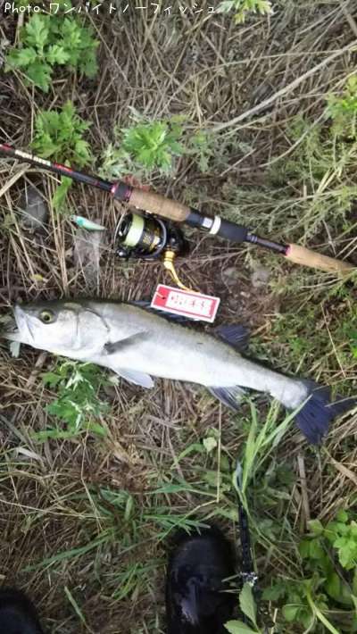 �����Х�