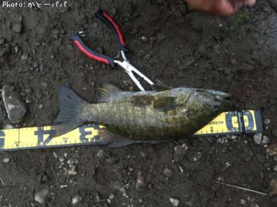 �֥�å��Х�