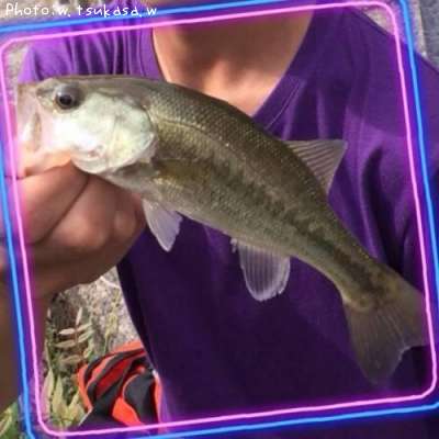 �֥�å��Х�