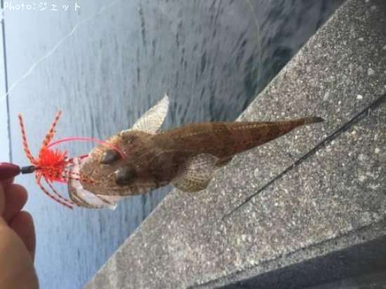 �ޥ�����