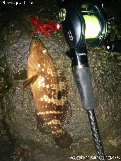 �����ϥ�