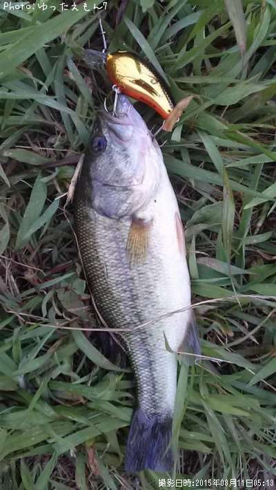 �֥�å��Х�