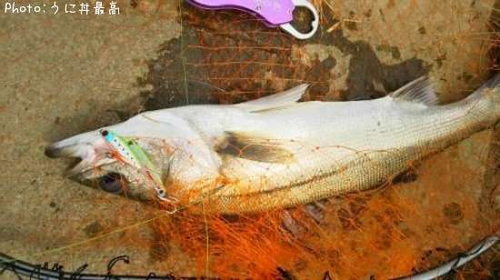 �����Х�