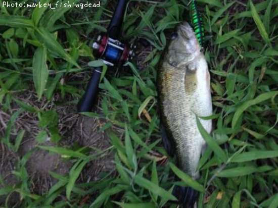 �֥�å��Х�