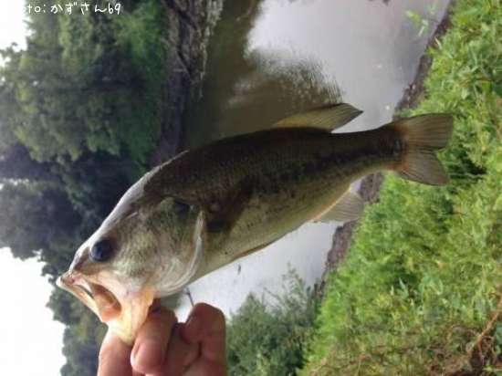 �֥�å��Х�