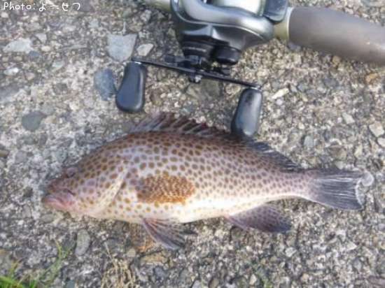 �������ϥ�