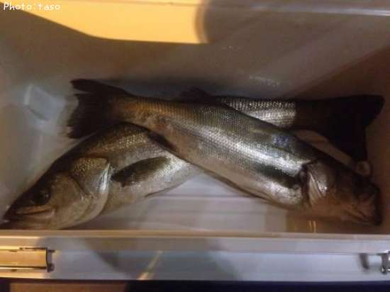 �����Х�