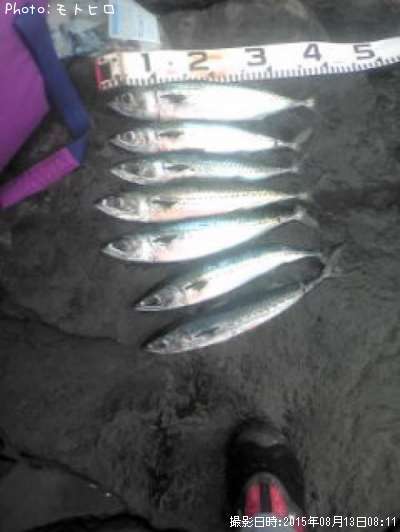 ���ޥ���