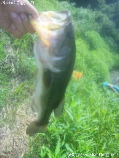 �֥�å��Х�