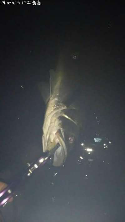 �����Х�