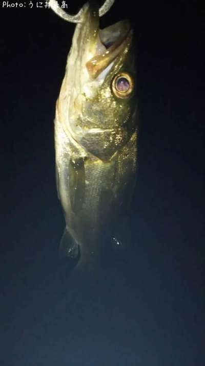 �����Х�