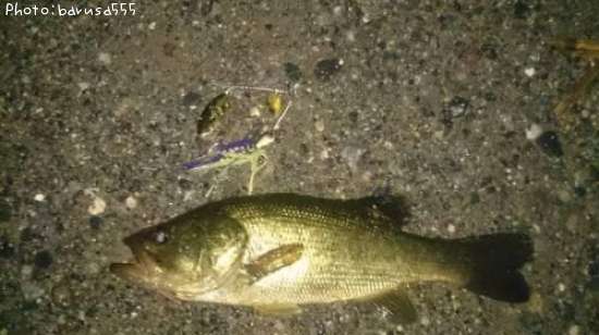 �֥�å��Х�