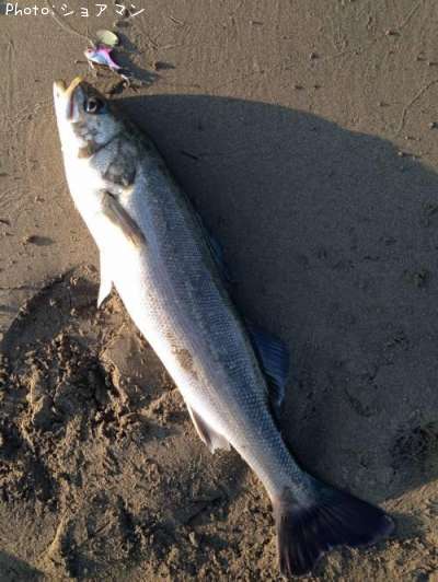 �����Х�