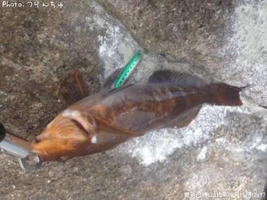 �����ʥ�