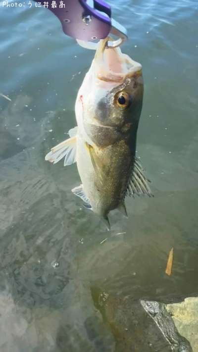 �����Х�