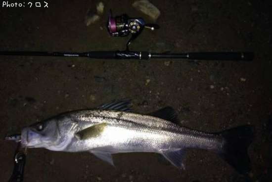 �����Х�