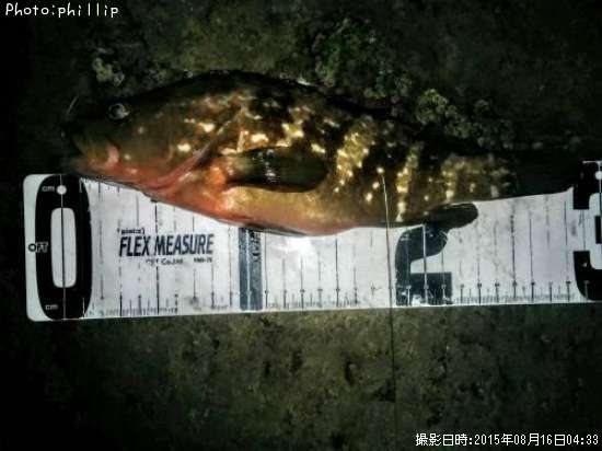 �����ϥ�