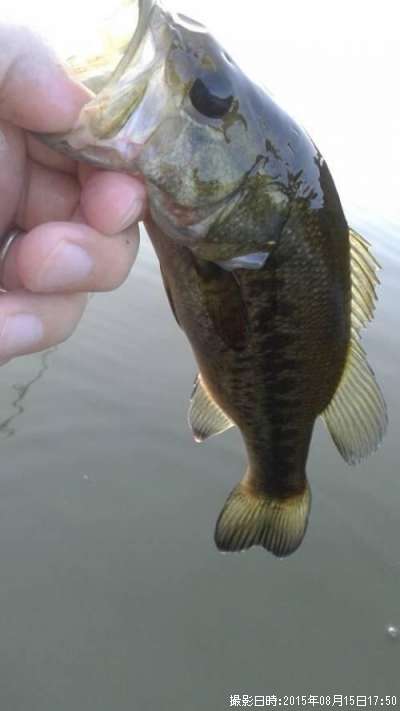 �֥�å��Х�