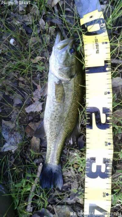 �֥�å��Х�