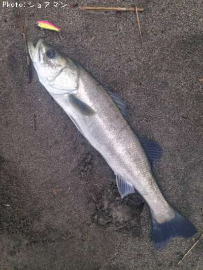 �����Х�