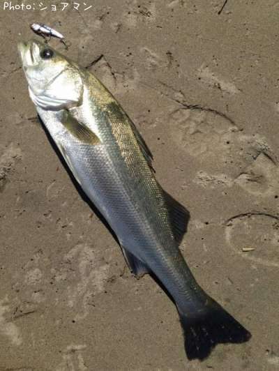 �����Х�