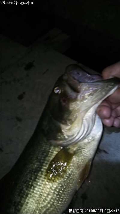 �֥�å��Х�