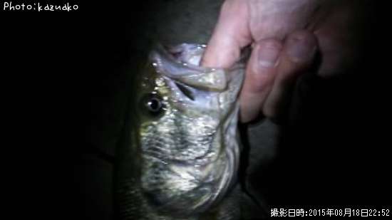 �֥�å��Х�