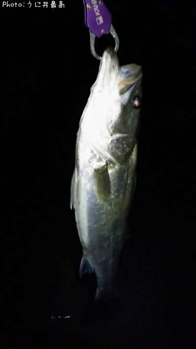 �����Х�