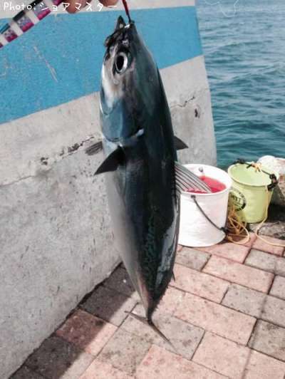 ���������ĥ�