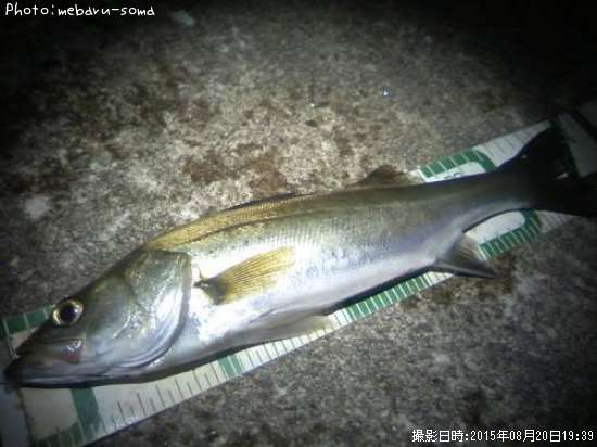 �����Х�