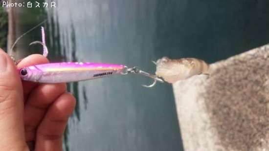 ���ȥҥ��ϥ�