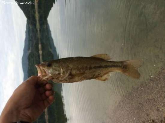 �֥�å��Х�