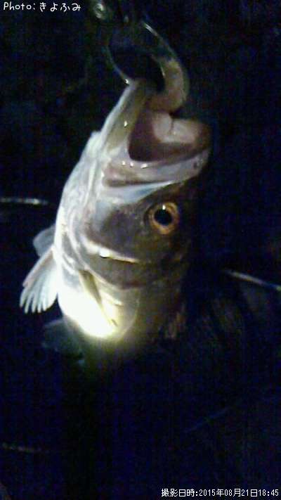 �����Х�