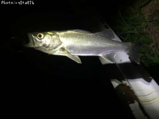 �����Х�