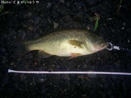 �顼���ޥ���