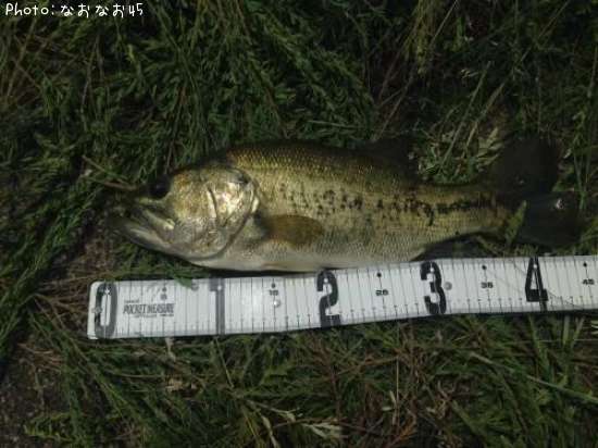 �֥�å��Х�