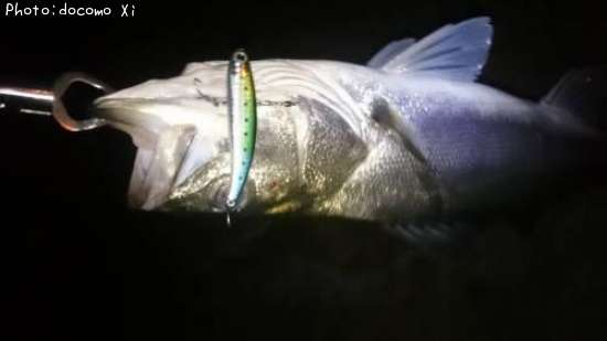 �����Х�