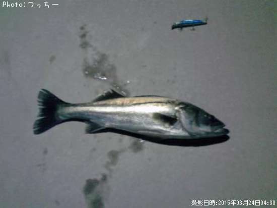 �����Х�