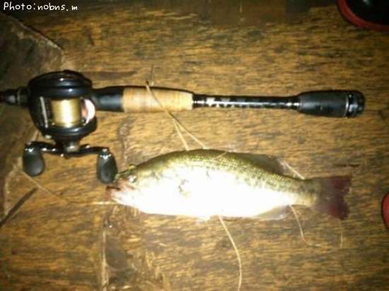 �֥�å��Х�