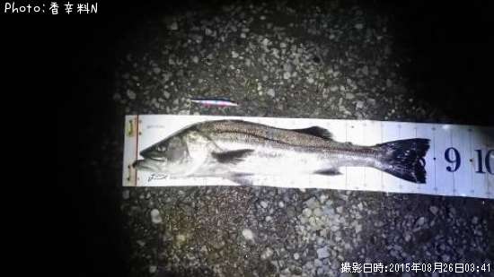 �����Х�