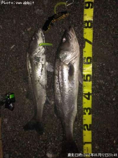 �����Х�