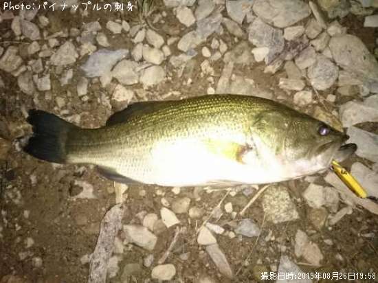 �֥�å��Х�