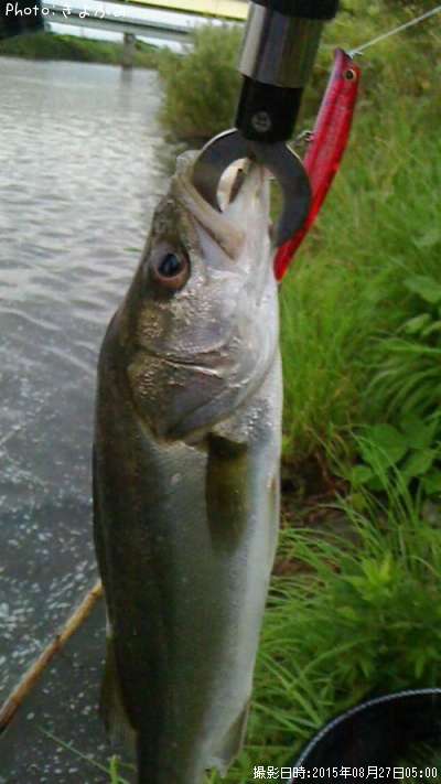 �����Х�