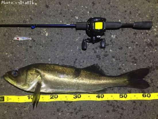 �����Х�