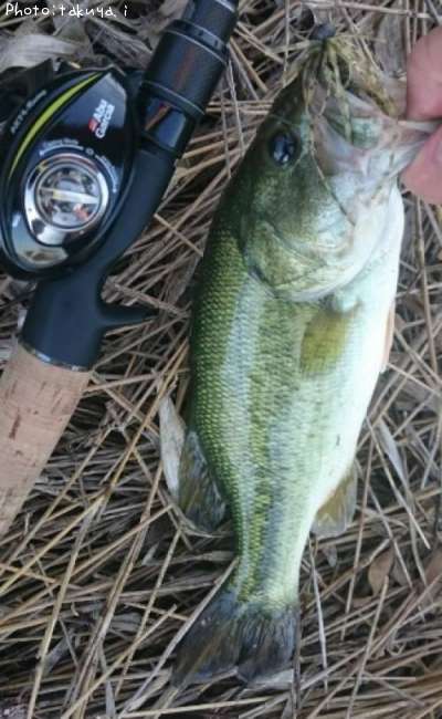 �֥�å��Х�