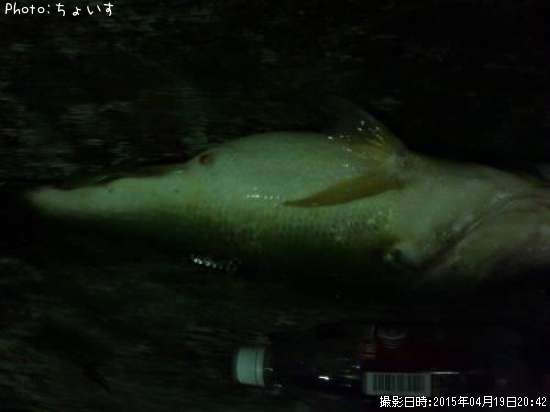 �֥�å��Х�